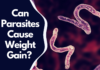 Can Parasites Cause Weight Gain